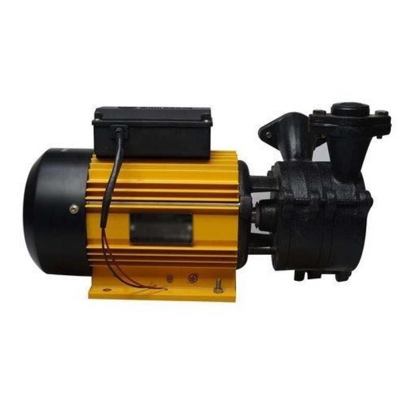 CRI 1.5 HP Domestic Water Motor Pump CHAMPEE100