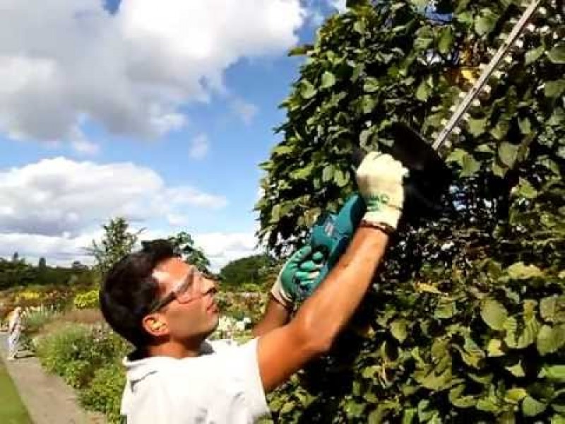 Makita 420mm Electric Hedge Trimmer UH4261