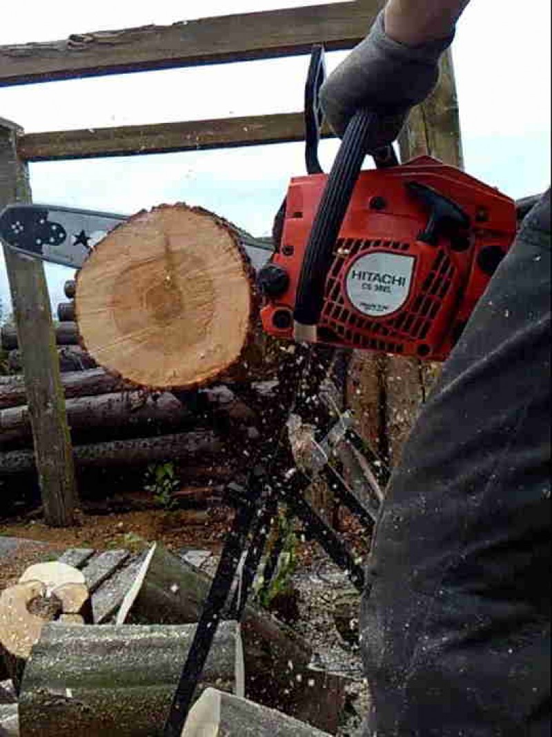 Hitachi (Hikoki) CS33EB Petrol Chain Saw 16 Inch 32.2 CC 1.1 KW