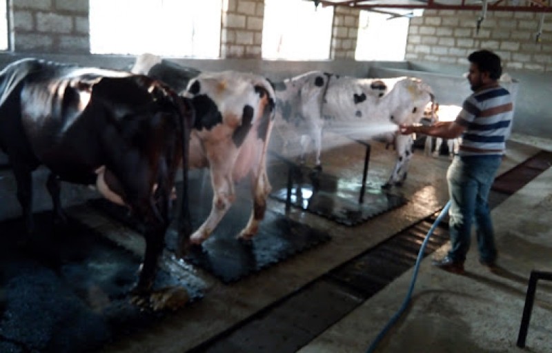 KK-PWIM-007 Electric Pressure Washer 2500 W