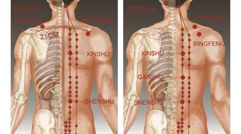 iRelax Body Massager Chair Machine SL-C-130 for Back Muscle Relaxation