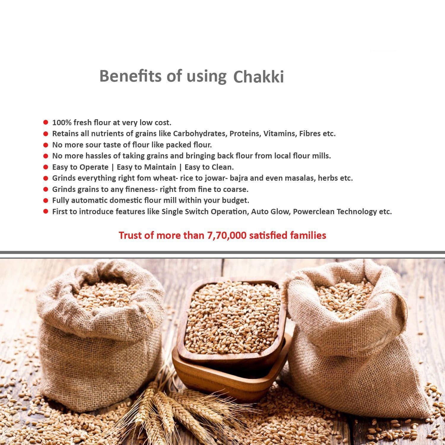 2hp Modular Flourmill With Music 5 Kg. Hopper  12 - 15 Kg