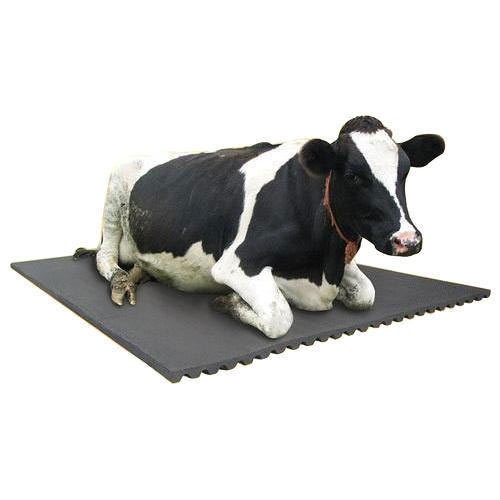 Black Cow  Mat 5'*8' 25mm Thick