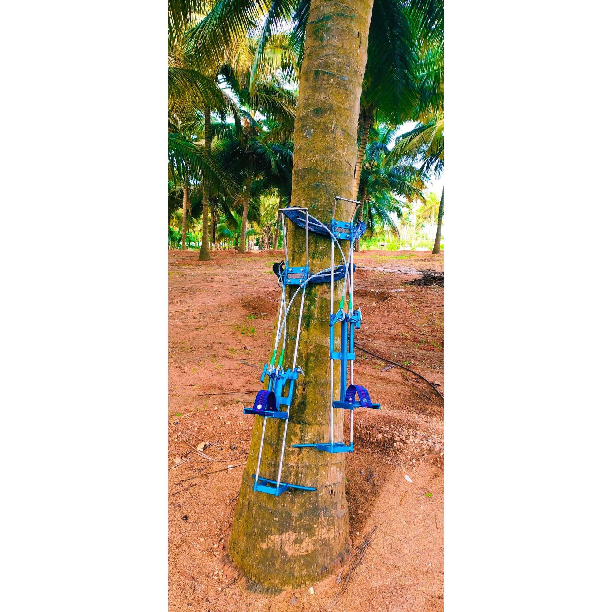 Coconut Tree Climber Machine